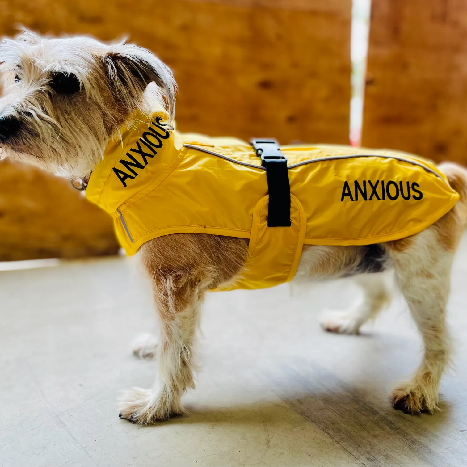 ANXIOUS DOG YELLOW LIGHTWEIGHT RAINCOAT (Small)