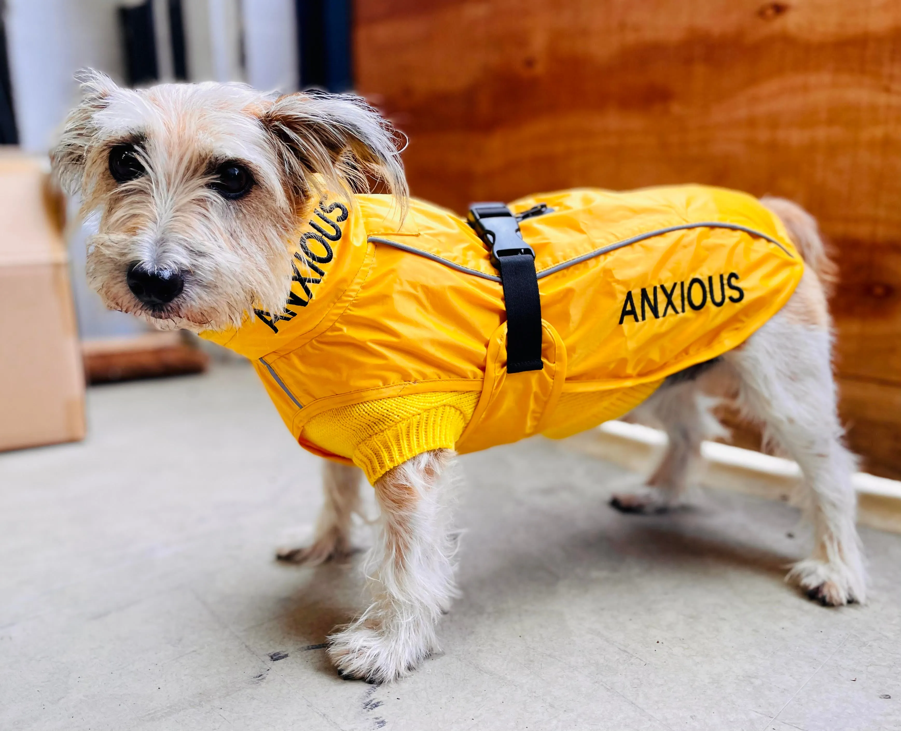 ANXIOUS DOG YELLOW LIGHTWEIGHT RAINCOAT (Small)