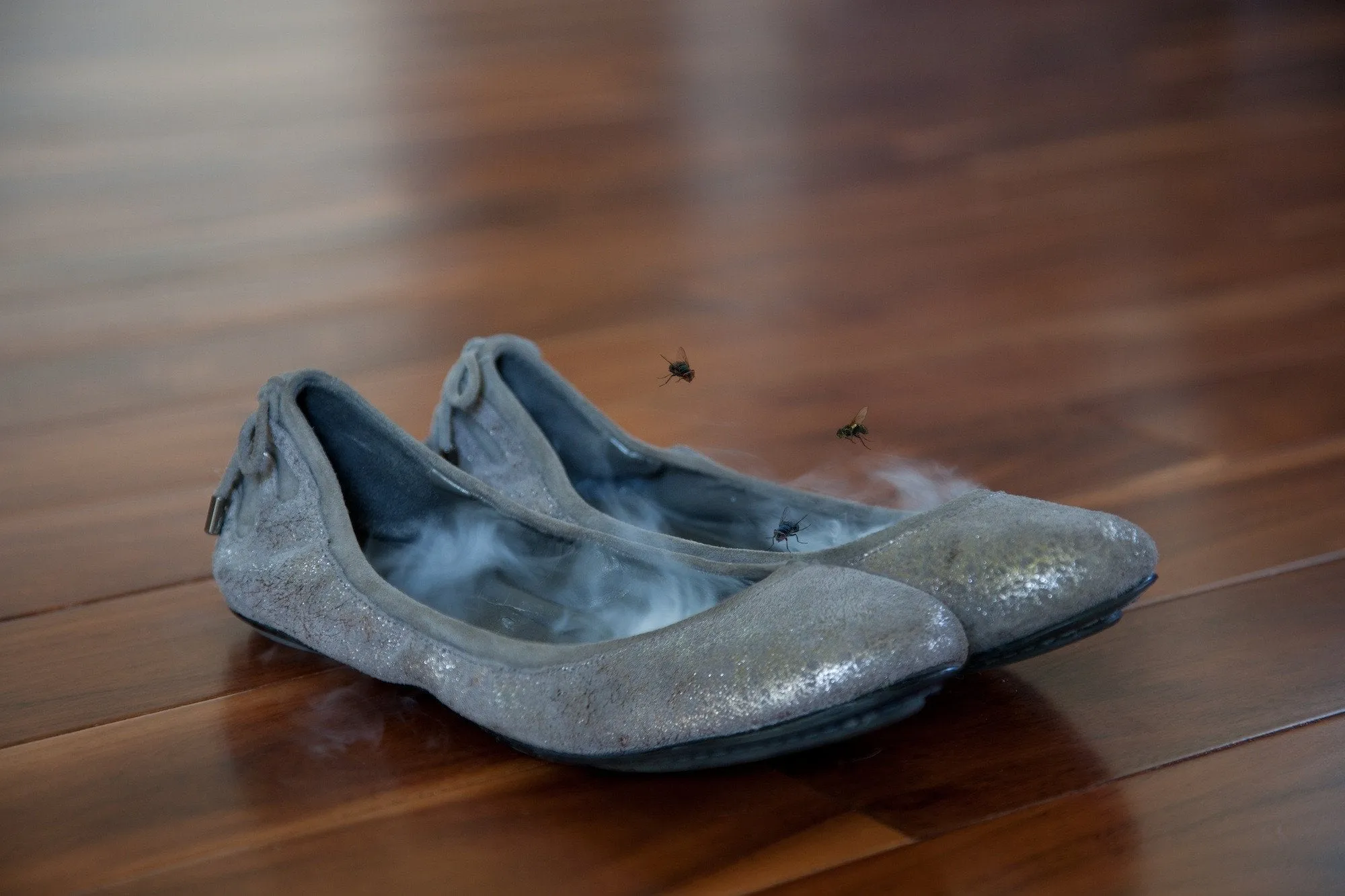 Flat Liners: activated carbon shoe odor killers