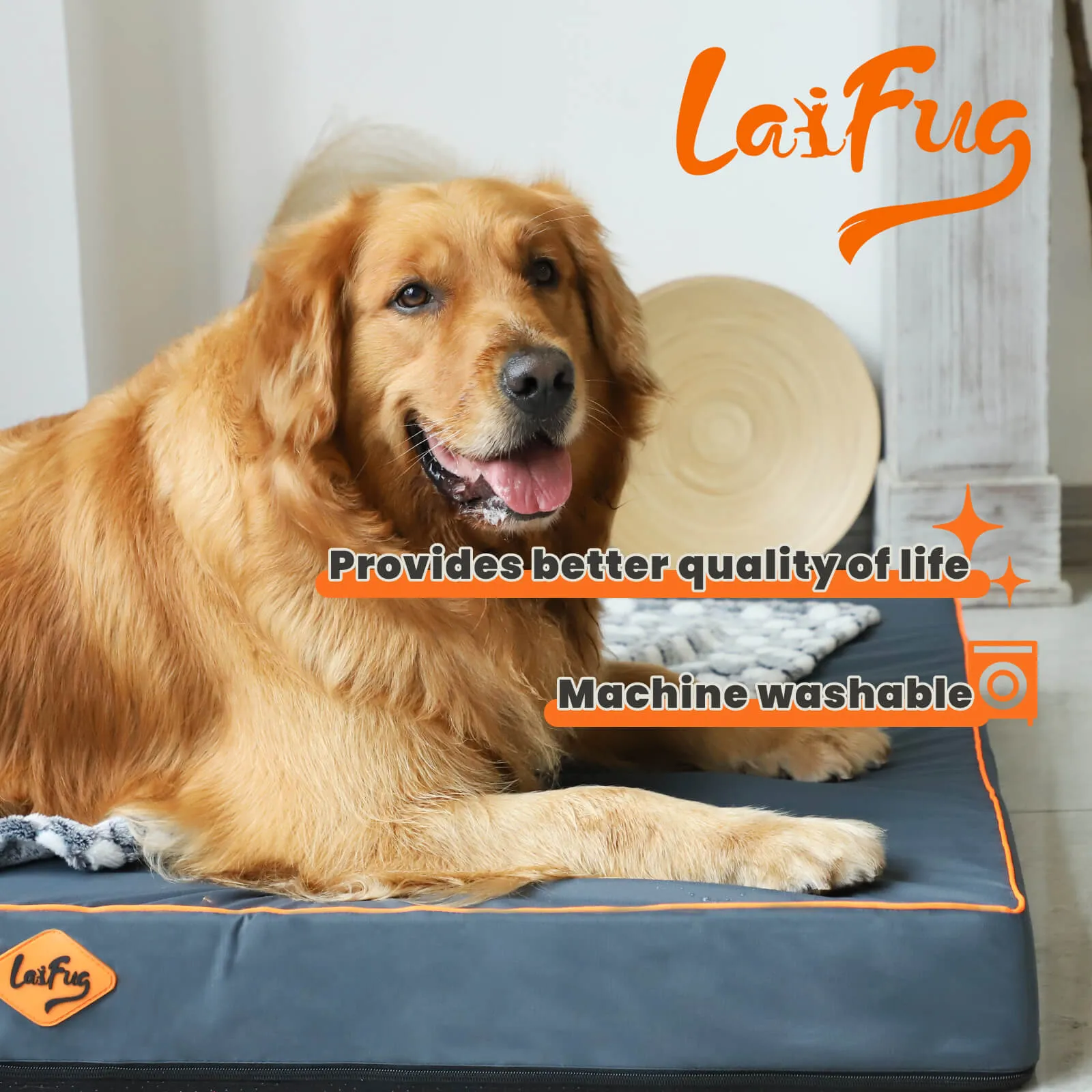 Laifug Egg-Crate Foam Dog Bed