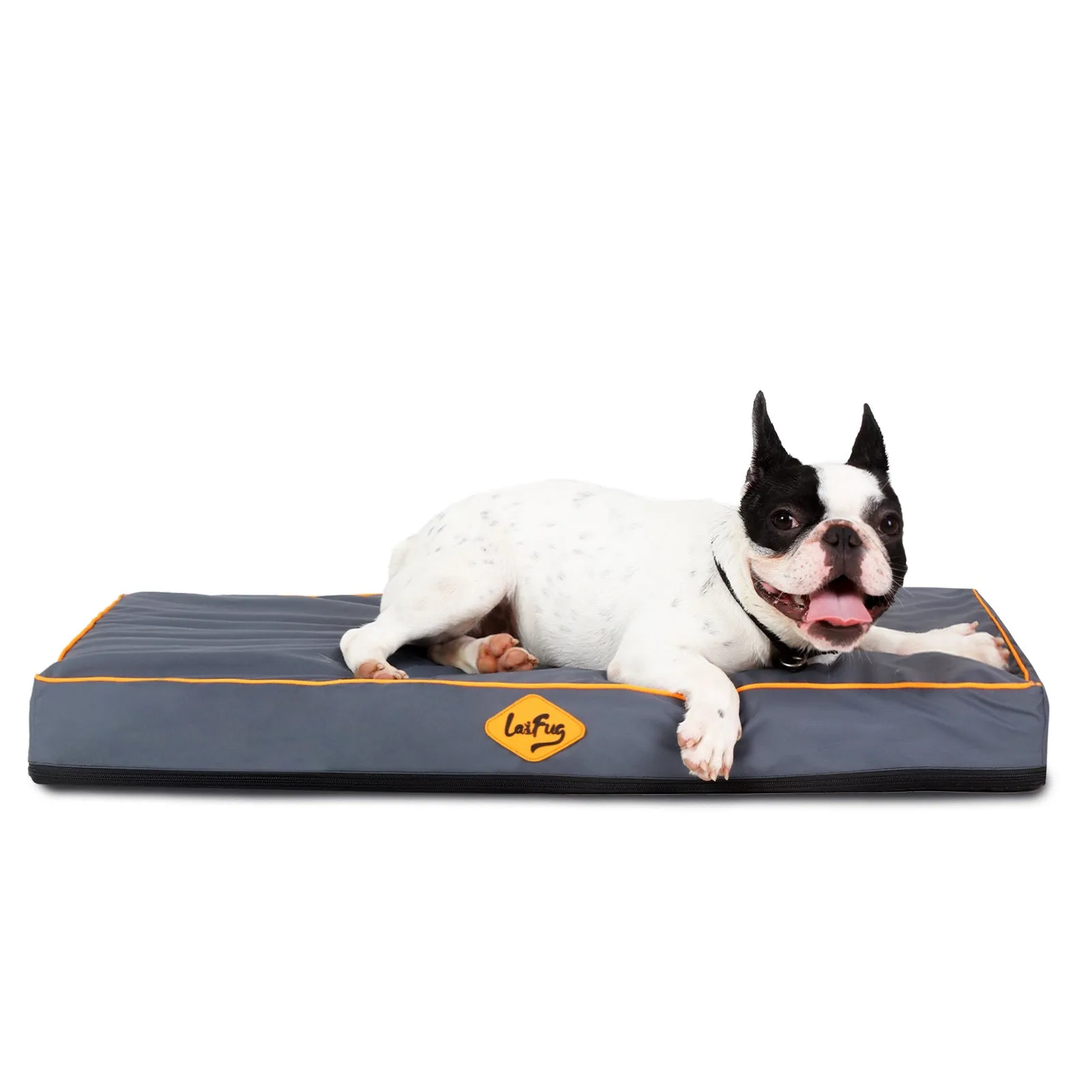 Laifug Egg-Crate Foam Dog Bed