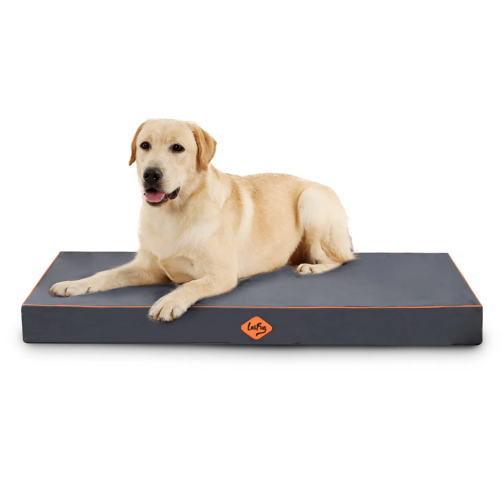 Laifug Egg-Crate Foam Dog Bed