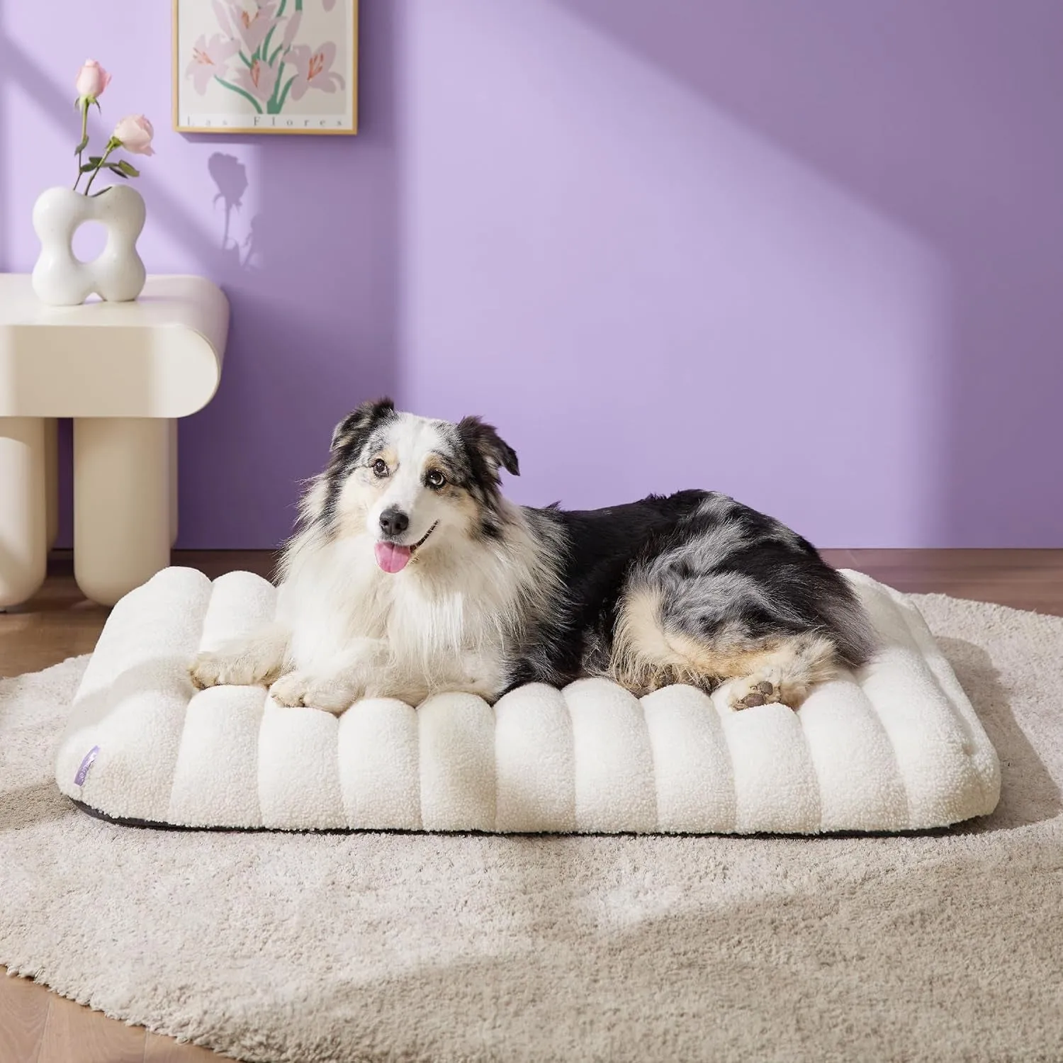 Lesure 4 Inch Thick Orthopedic Foam Dog Bed for Large Dogs, Waterproof Chic Flat Dog Bed with Removable Cover, Cute Fuzzy Pet Beds for Indoor Dogs (36" X 27", Cream)